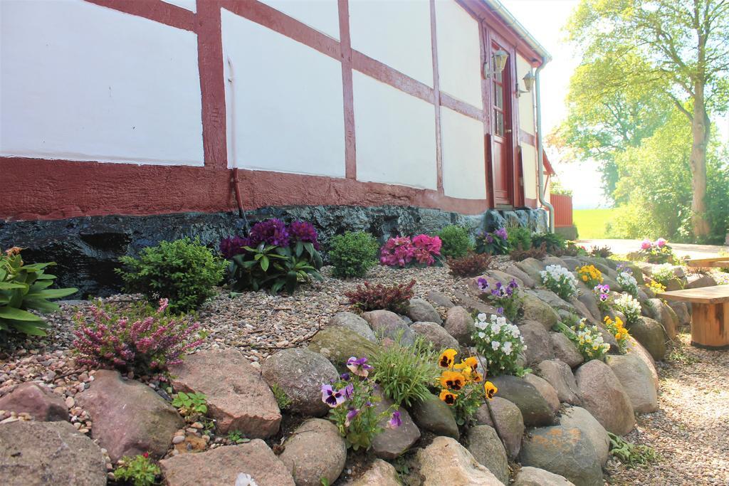Jungshoved Praestegard B&B Praesto Exterior photo
