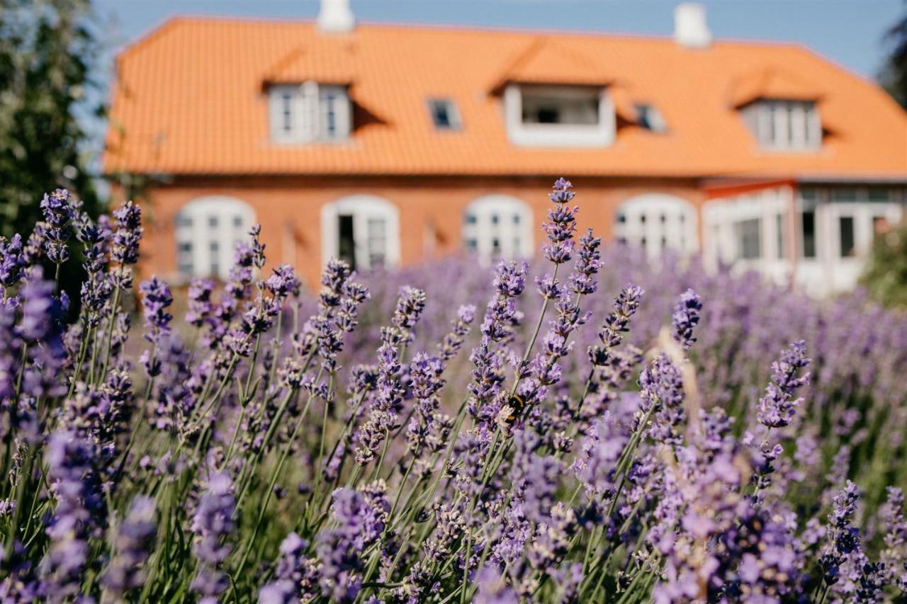 Jungshoved Praestegard B&B Praesto Exterior photo