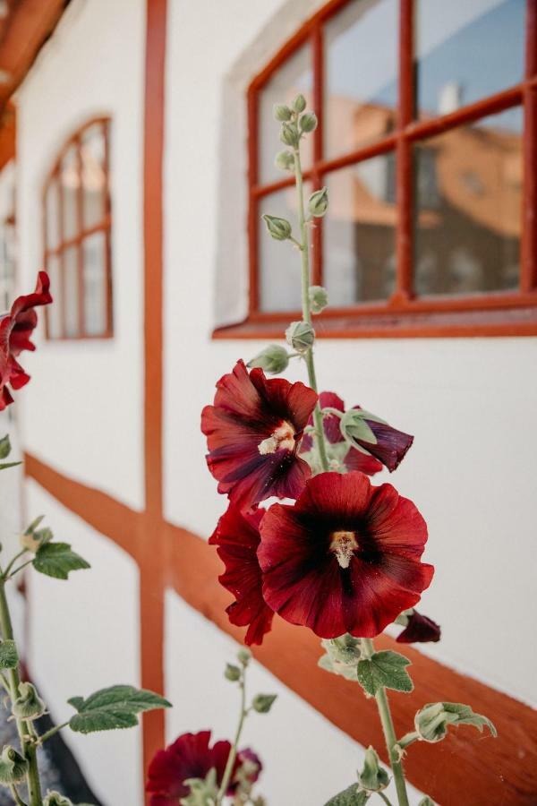 Jungshoved Praestegard B&B Praesto Exterior photo