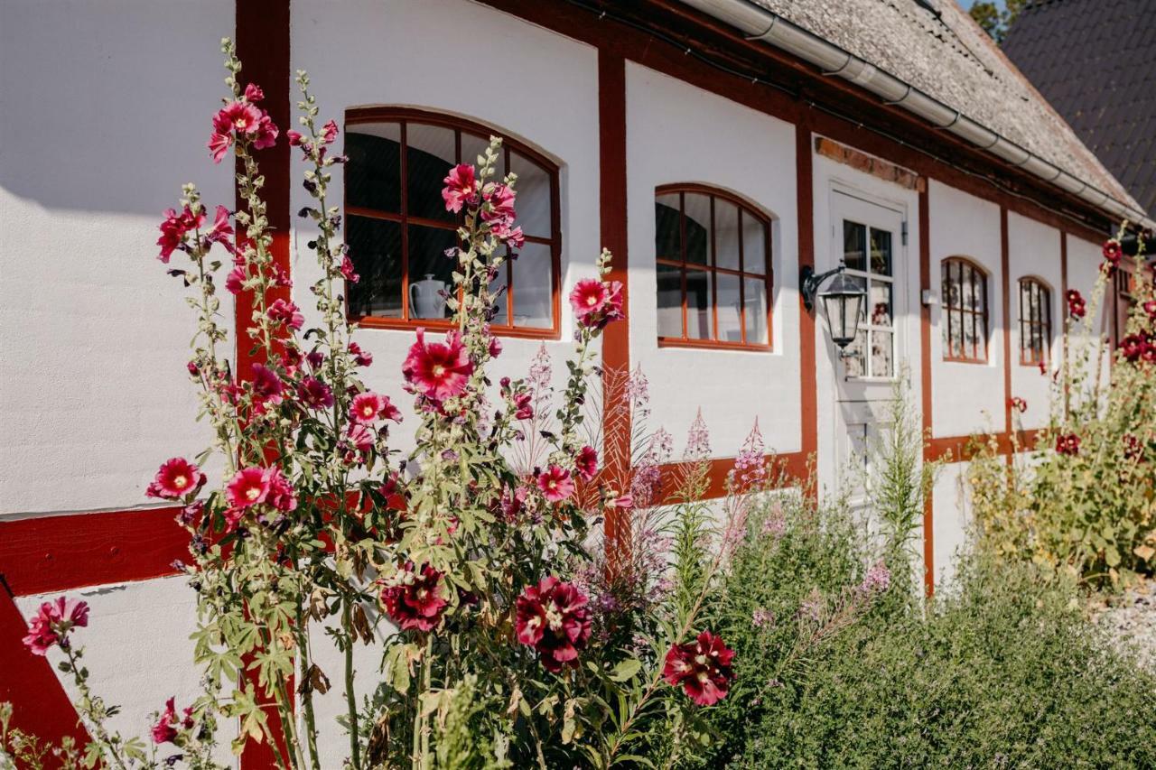 Jungshoved Praestegard B&B Praesto Exterior photo
